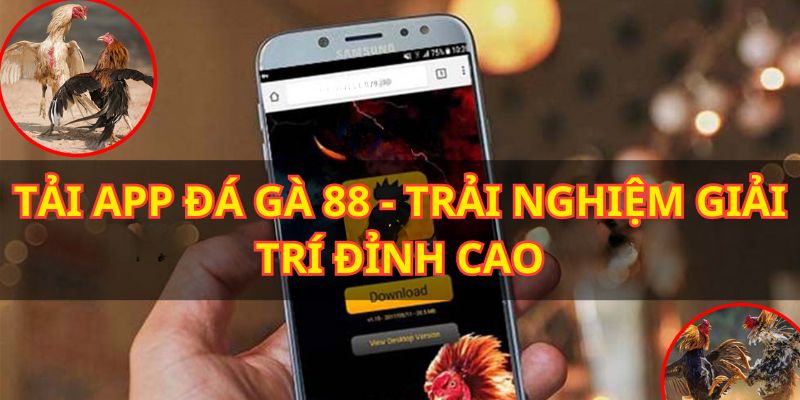 Tải app Đá Gà 88 giới thiệu