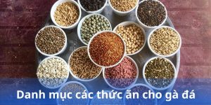 Danh mục các thức ăn cho gà đá