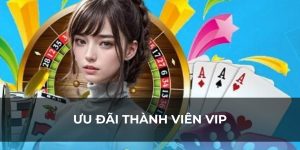 ưu đãi thành viên VIP